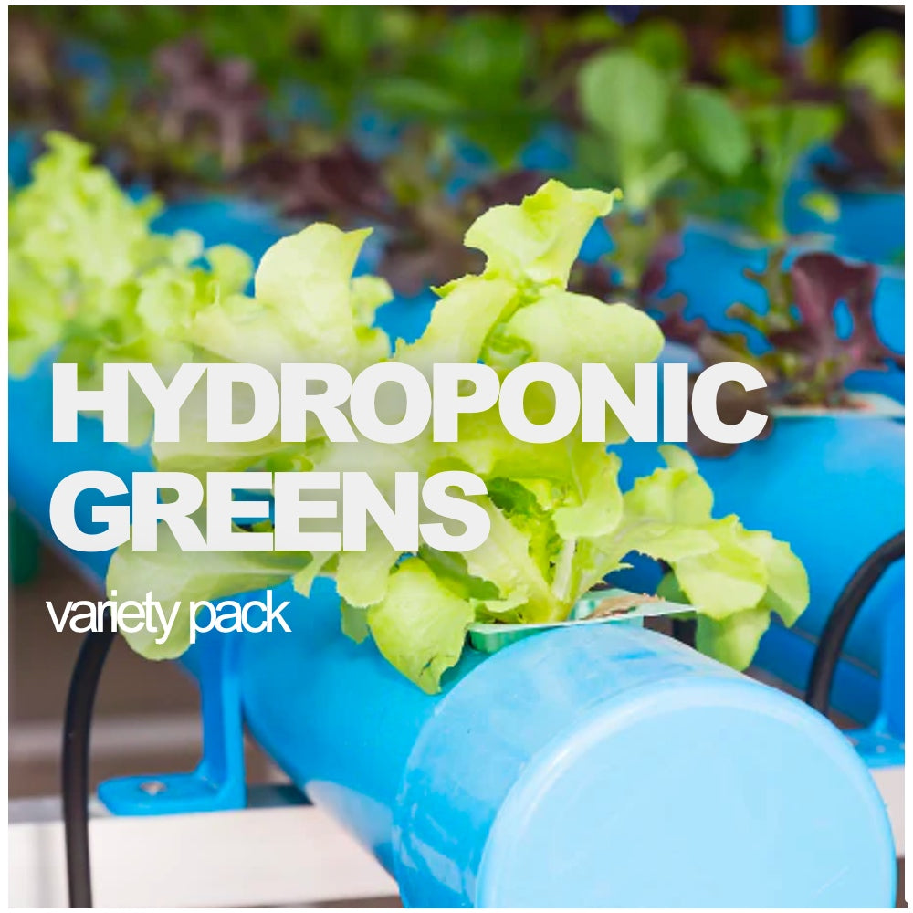 Hydroponic Greens All-in-One Variety Pack for Healthy Fresh Leafy Greens