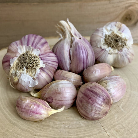*Organic* Garlic Garden Variety Pack
