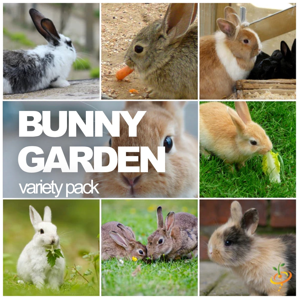 Assorted bunny garden seed varieties in a SeedsNow-SeedBanks all-in-one pack, ready for planting in your garden.
