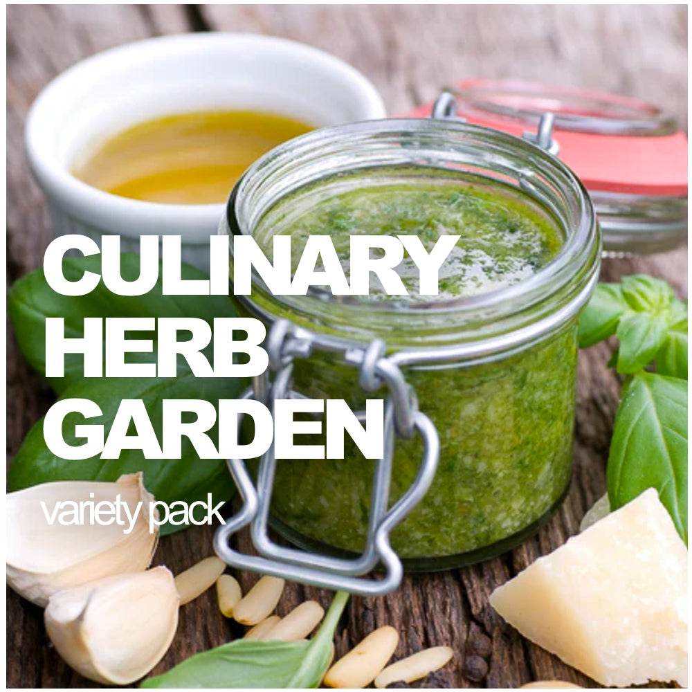 All-in-One Culinary Herb Garden Variety Pack from SeedsNow-SeedBanks with fresh herbs in a garden tray.