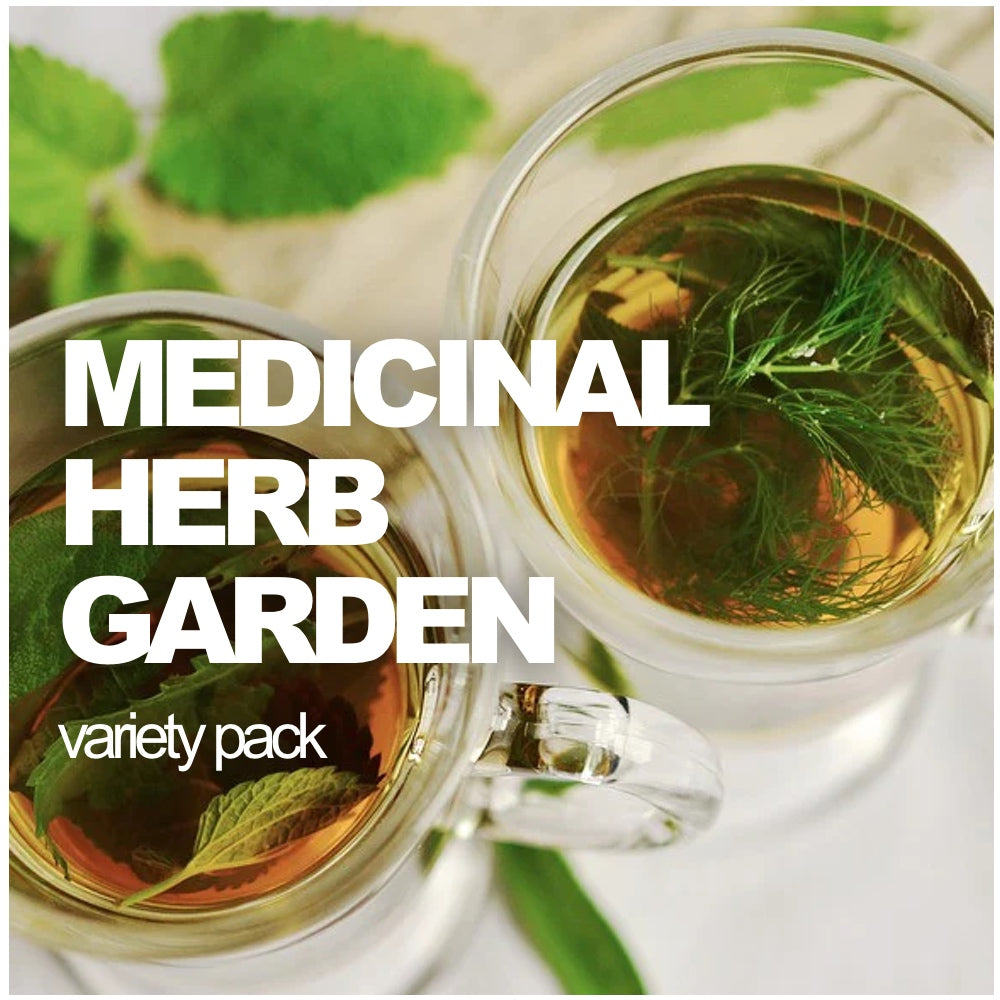 All-in-One Medicinal Herb Garden Variety Pack with assorted herb seeds from SeedsNow-SeedBanks for home gardening.