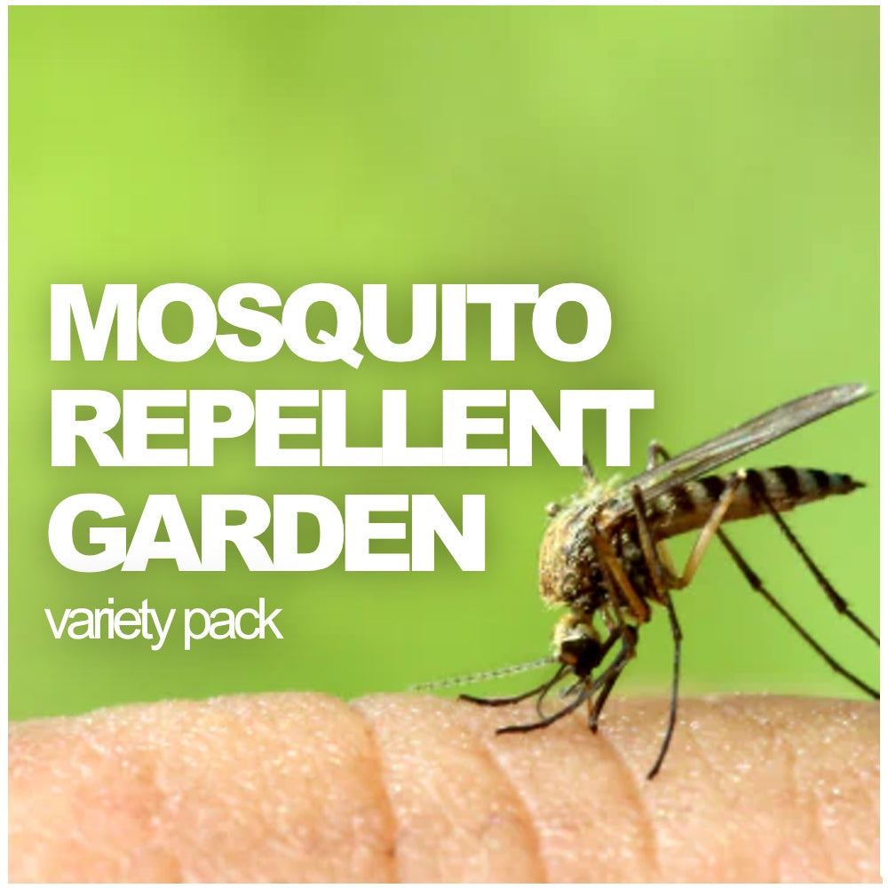 All-in-One Mosquito Repellent Garden Variety Pack by SeedsNow-SeedBanks, featuring various plants to naturally repel mosquitoes in your garden.
