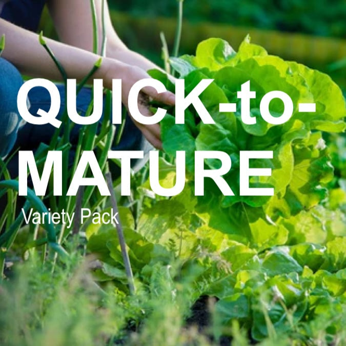 Quick-to-Mature Garden Variety Pack with 15 fast-growing seed varieties ready in 45 days or less