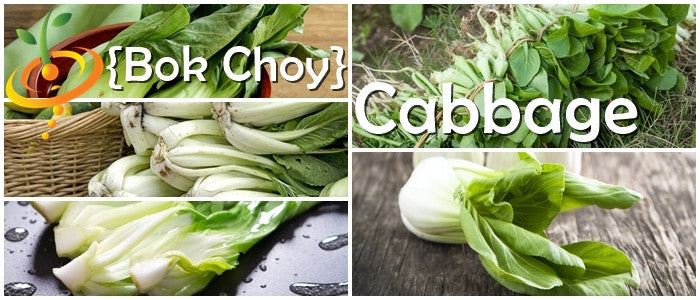 Bok choy Chinese cabbage seeds from SeedsNow, showing fresh green leafy cabbage with white stalks on a wooden surface.