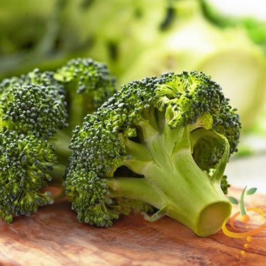 Shop Waltham Broccoli seeds to buy online in the USA. Cold-hardy plant for the fall. Find Open-pollinated OP, USA-quality, Heirloom, NON-GMO organic seeds & more!Fresh green broccoli heads from SeedsNow, showcasing tightly clustered florets and sturdy stems on a white background.