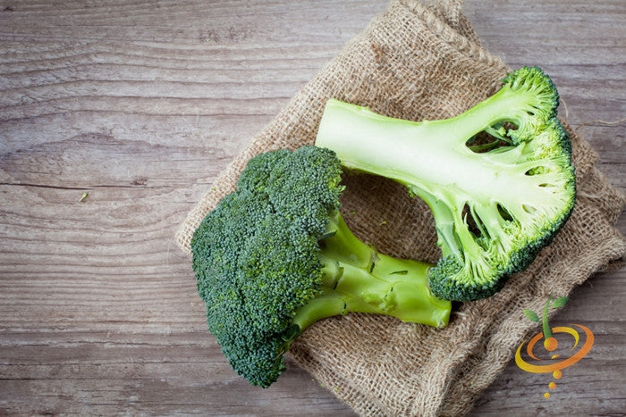Fresh green broccoli from SeedsNow, featuring tightly clustered florets and thick stalks, ready for cooking or fresh eating.