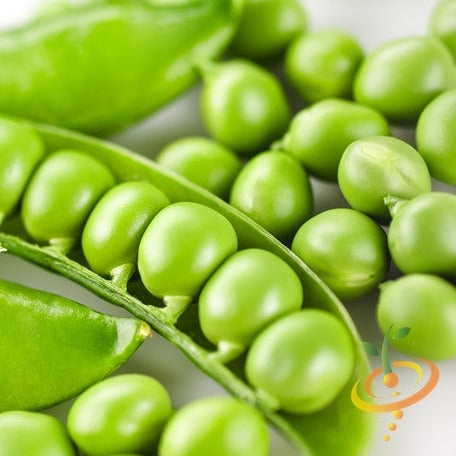 Buy High-quality Wando Pea Heirloom Seeds for sale online in the USA!
