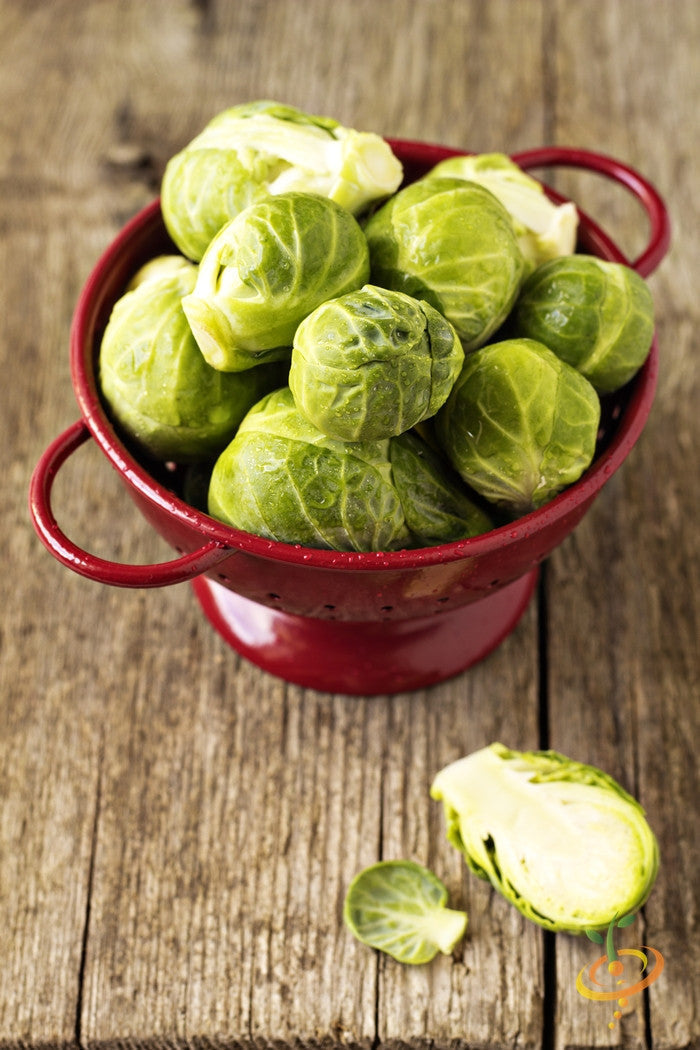 Fresh Brussels sprouts growing on a plant, from SeedsNow Catskill seeds, with vibrant green leaves and tightly packed sprouts.
