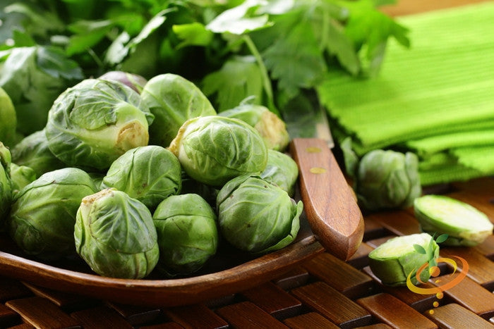 Fresh Brussels sprouts growing on a plant, cultivated from SeedsNow Long Island Catskill seeds, with green leaves and tight sprouts.
