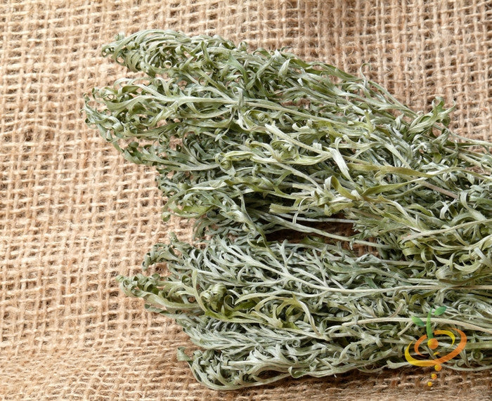 Close-up of dried wormwood herb leaves on burlap background for herbal use and gardening