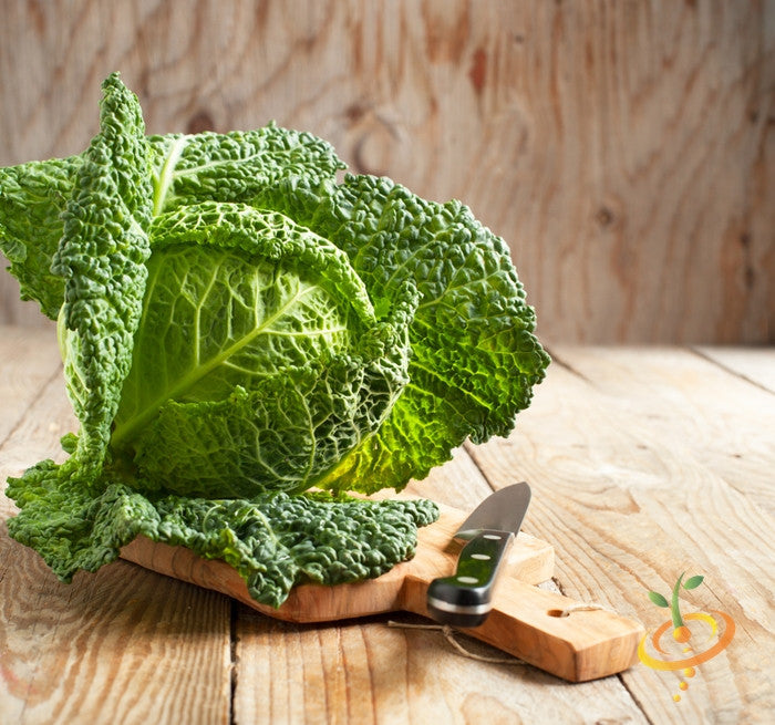 Fresh Savoy Perfection cabbage with crinkled green leaves on wooden cutting board with knife