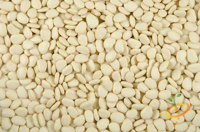 Lima bean plant with green pods and leaves, grown from Thorogreen SeedsNow Lima/Bush beans, healthy and vibrant.