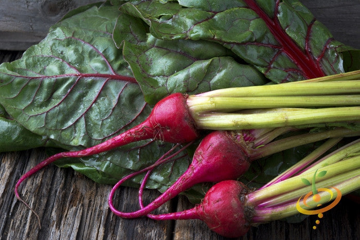 Chioggia beet seeds from SeedsNow, showing vibrant striped beet root and green foliage on a garden background.