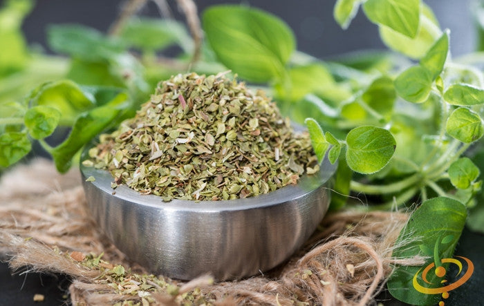 Close-up of dried oregano leaves in a metal bowl with fresh oregano herb in the background, representing Italian oregano seeds