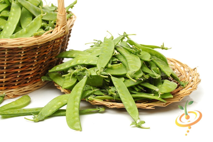 Snow pea Oregon Giant seeds from SeedsNow, fresh pea pods with vibrant green peas inside on a natural background.