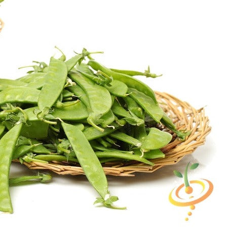 Oregon Giant snow pea seeds by SeedsNow, showing vibrant green pea pods and fresh pea plants ready for planting.