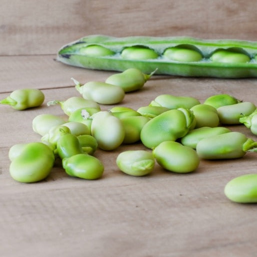 Complete Garden Abundance Seed Bank