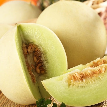 Buy high-quality Honeydew Green Flesh Melon seeds online from USA now!