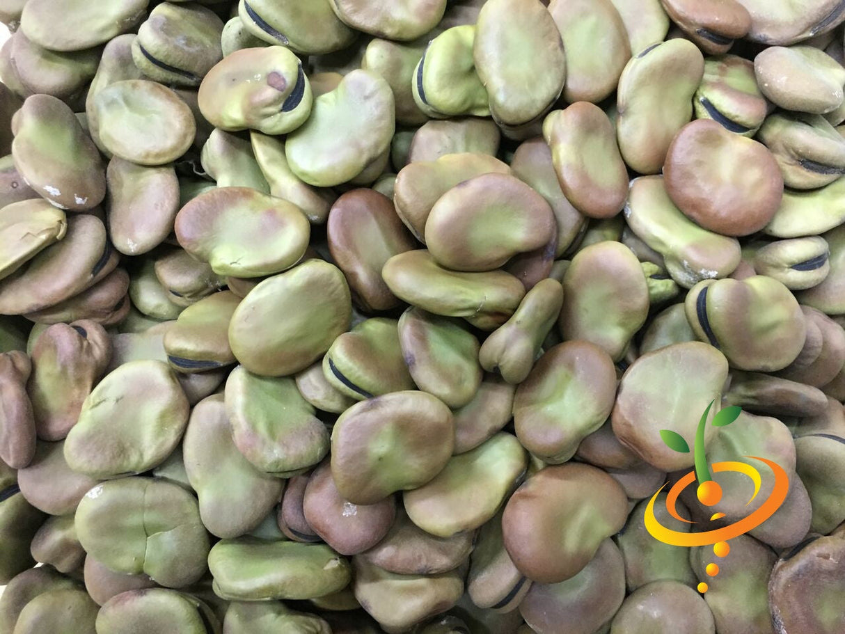 Fava bean Broad Windsor seeds from SeedsNow, showing vibrant green seeds in a close-up view on a white background.