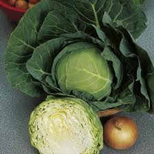Golden Acre cabbage seeds from SeedsNow, featuring fresh, vibrant green cabbage heads with tightly packed leaves.
