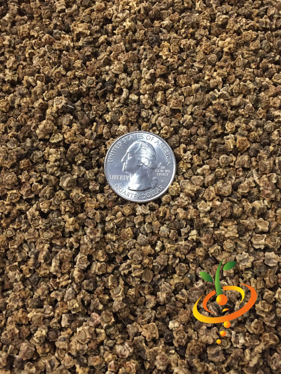 Dark red Detroit beet seeds from SeedsNow, small round seeds ideal for planting in vegetable gardens.