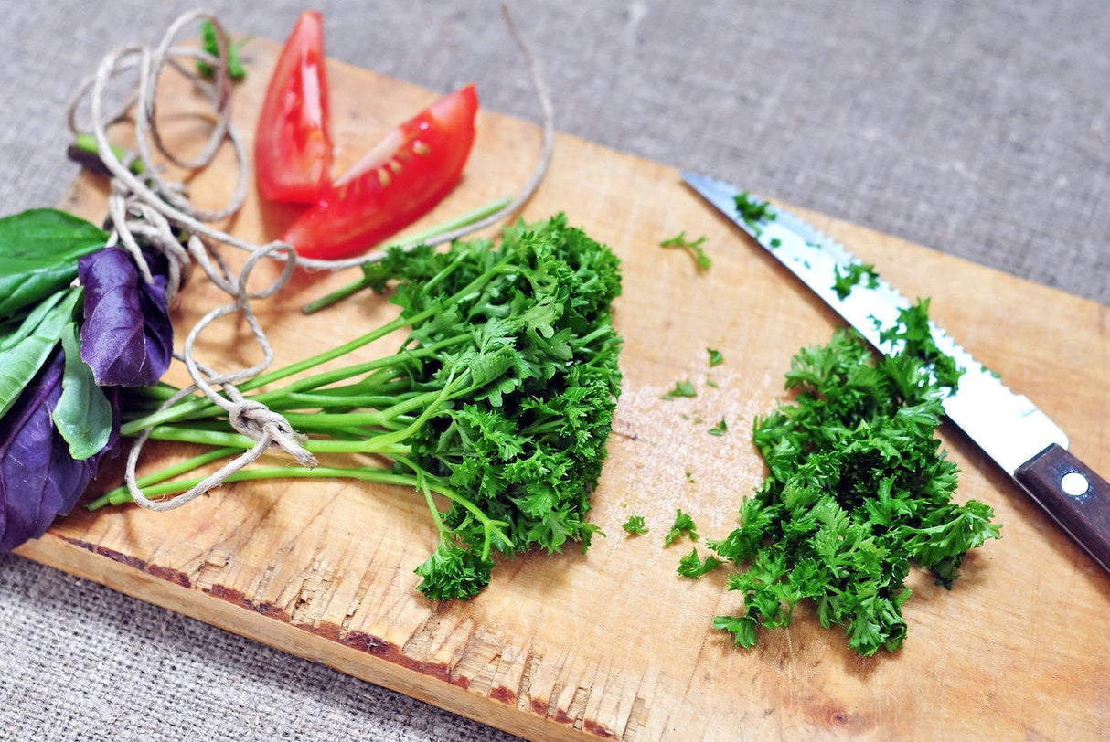 Fresh green parsley plant grown from SeedsNow evergreen parsley seeds, showing lush, vibrant foliage suitable for culinary use.