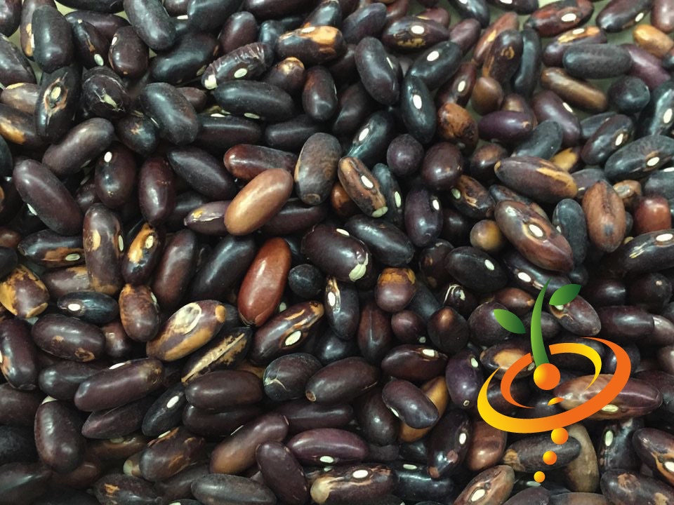 Bush bean seeds labeled Provider from SeedsNow, showing fresh green seeds in a close-up shot.