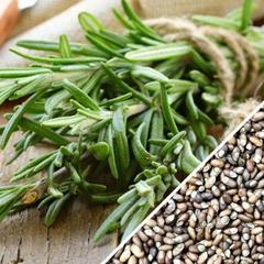 All-in-One Mosquito Repellent garden variety seed pack from SeedsNow-SeedBanks featuring rosemary seeds for natural pest control.