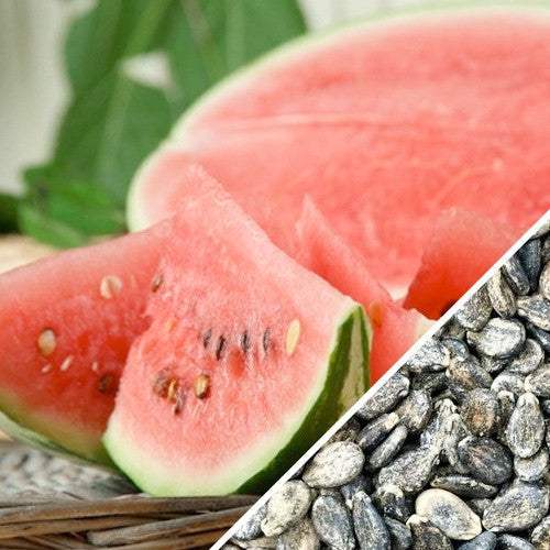 Close-up of sliced All Sweet Watermelon with bright red flesh and seeds alongside a pile of All Sweet Watermelon seeds
