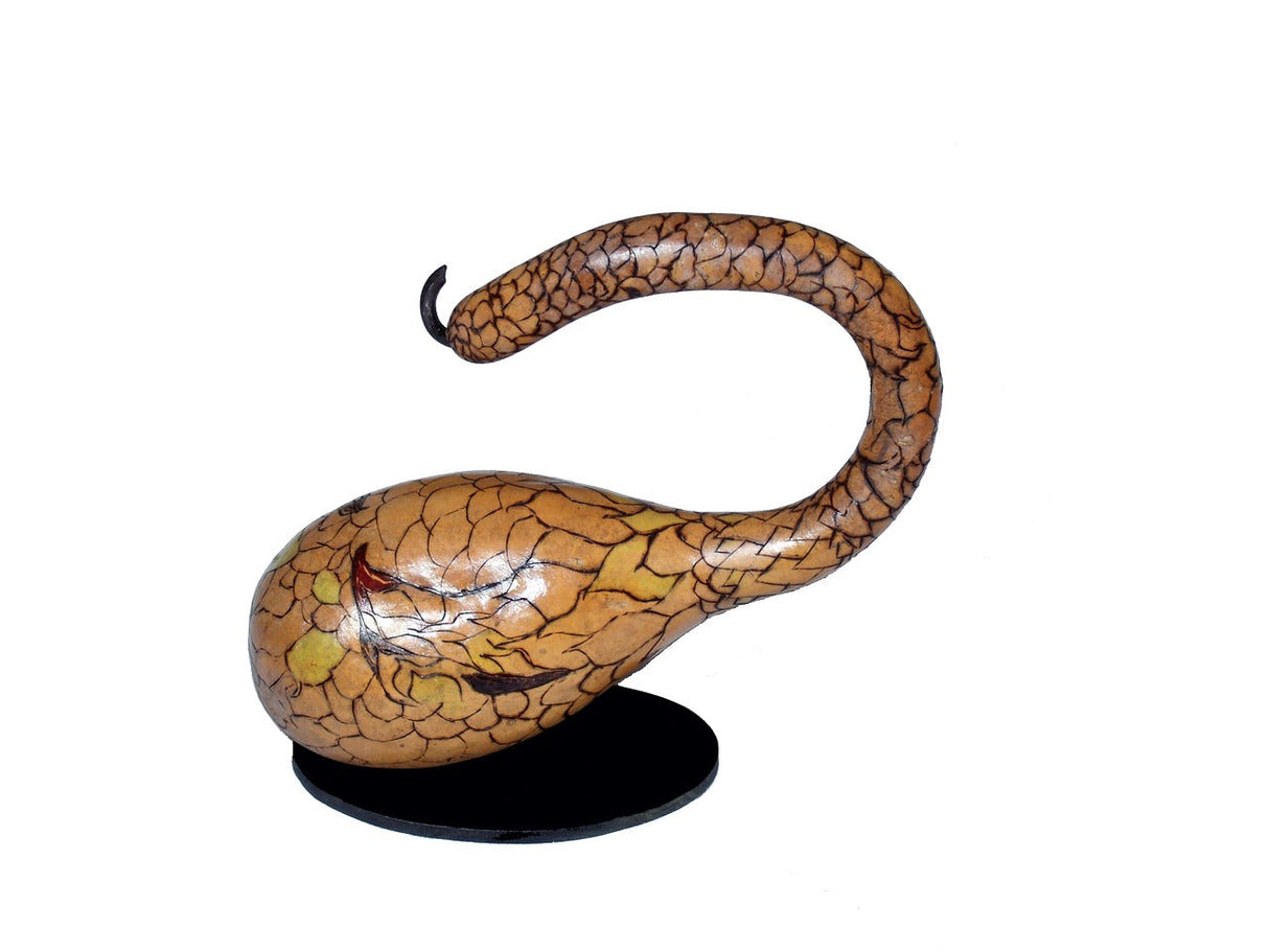 Long-handle gourd dipper with seeds from SeedsNow, featuring a smooth, elongated gourd shape ideal for traditional use.