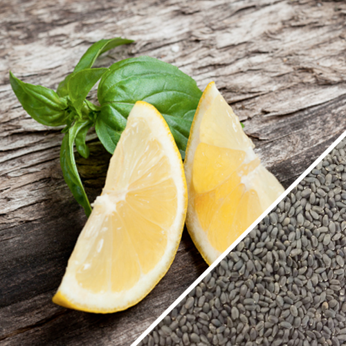 Non-GMO Lemon Basil seeds from SeedsNow, showing small green seeds with lemon-scented basil plant leaves.
