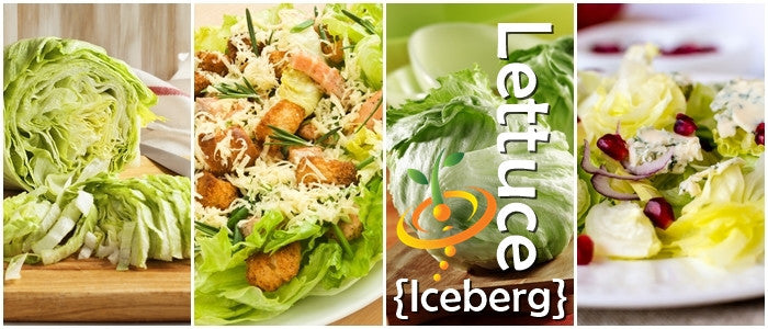 Fresh iceberg lettuce seeds from SeedsNow, ideal for growing crisp, crunchy lettuce in your garden or farm.