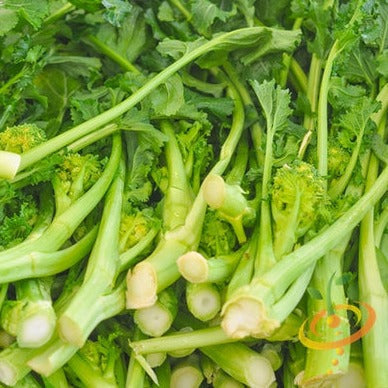 Broccoli rapini (raab) seeds from SeedsNow, showing small green seed packets with images of mature broccoli raab plants.