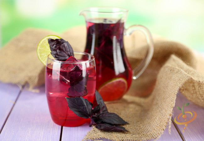 Red Velvet Basil seeds from SeedsNow, showing vibrant red velvet leaves suitable for herb gardening.