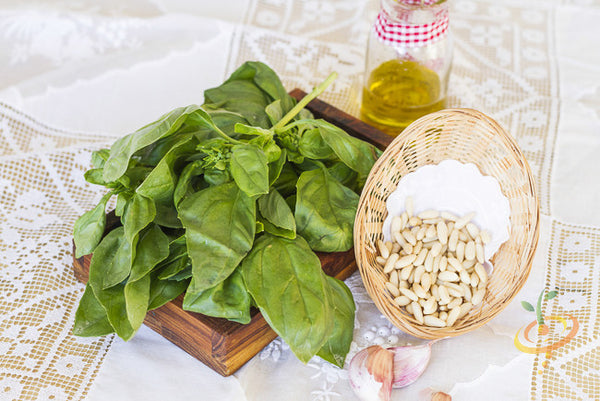Basil Lemon seeds from SeedsNow, close-up of small basil seed packets with fresh basil leaves and lemon scent, on white background.