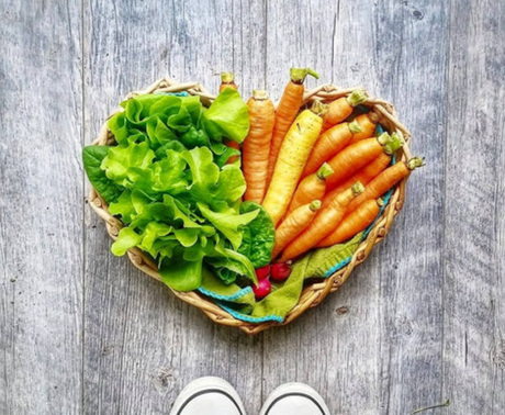 Meet @TXMBIRDIE! Animal Hugger. Vegetarian. Organic Farmer in East Texas
