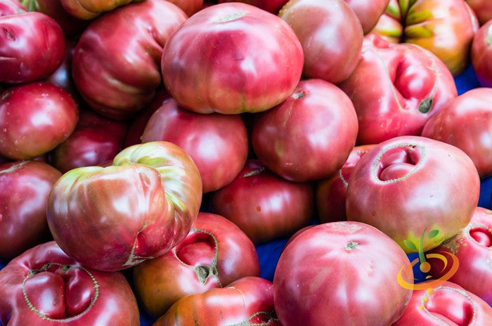 Tomato - Cherokee Purple [INDETERMINATE].