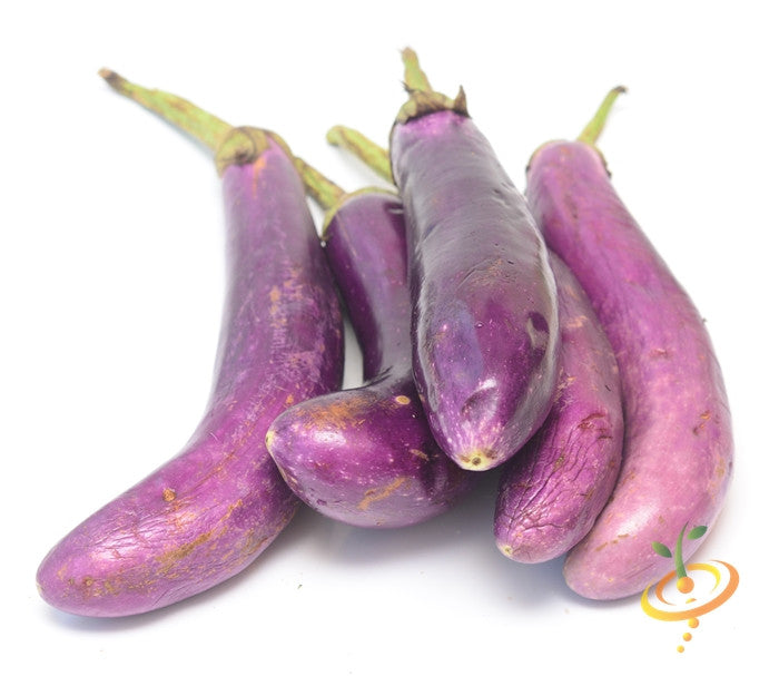 Eggplant - Long Ping Tung.