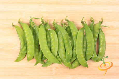 Oregon Giant snow pea plant with green pods and lush foliage, grown from SeedsNow Pea (Snow) - Oregon Giant seeds.