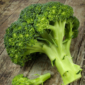 Fresh green broccoli florets of Di Cicco variety on wooden surface