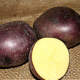 Organic Huckleberry Gold mid-season potato seed, round yellow tubers from SeedsNow-Potatoes, ideal for planting and gardening.