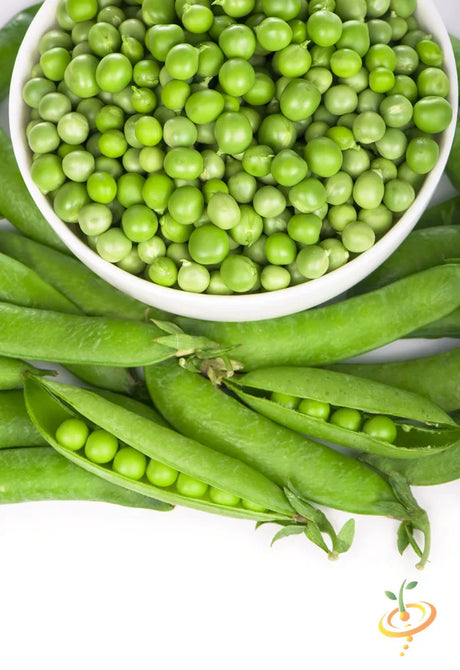 Green Arrow pea seeds from SeedsNow, showing vibrant green pea pods and fresh pea seeds ready for planting.