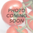 Tomato - Oxheart, Orange (Indeterminate) - SeedsNow.com